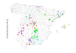 Mapa agents Espanya 2020