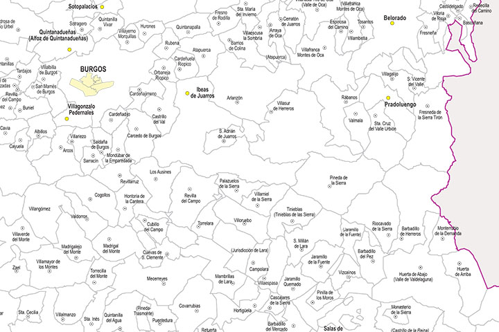 Castilla y Leon map with municipalities