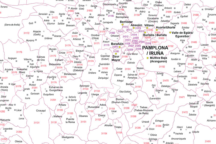 Navarra - mapa autonómico con municipios y Códigos Postales